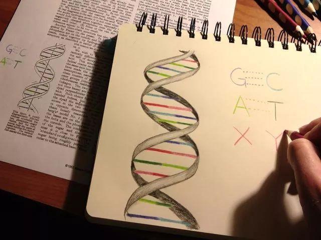 人类基因组镌刻于五维“永恒”记忆晶体中